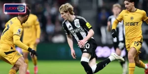 Soi kèo Wolves vs Newcastle - Vòng 22 Ngoại Hạng Anh